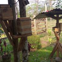 Fotografía de proyecto de apicultura elaborado por estudiante del Liceo Rural San Joaquín de Cutris