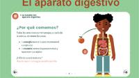 Diagrama del aparato digestivo