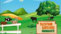 Tales From Santa Cruz Guanacaste