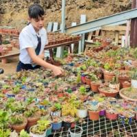 niñas con plantas