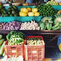 verduras