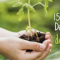 Día Nacional del Árbol