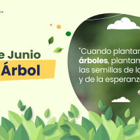 15 de junio, Día del Árbol