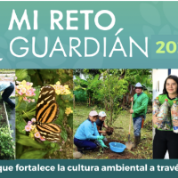 Estudiantes serán reconocidos por poner en práctica la Inteligencia de la Naturaleza a través de 10 “eco-retos”