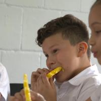 Nuevo reglamento del PANEA fortalece alimentación estudiantil