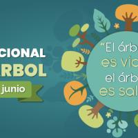 15 de junio, Día Nacional del Árbol