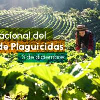 Día Internacional del No uso de Plaguicidas. 3 de diciembre.