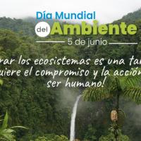 Se ilustra una catarata inmersa en un ecosistema boscoso