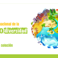 Se ilustra un planeta donde representa la biodiversidad terrestre y marítima