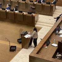 Ministra en el Plenario Legislativo