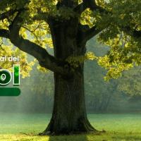 Afiche que muestra un árbol frondoso y de tronco grueso sobre un césped verde.