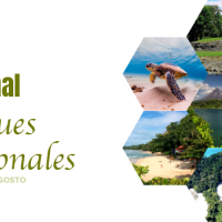 Día Nacional de los parques Nacionales, 24 de agosto.
