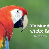 3 de marzo, Día Mundial de la Vida Silvestre.