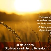 un amanecer explendoroso sobre una zona de campos de trigo, con un texto.