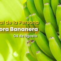 racimo de bananos verdes. Día Nacional de la persona trabajadora bananera, 04 de