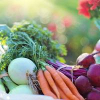Se observan diferentes vegetales y verduras.