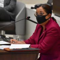 Ministra se presenta ante los diputados 