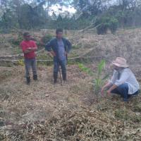 Personas trabajan el campo