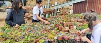 niñas con plantas