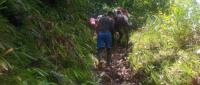 estudiantes caminando