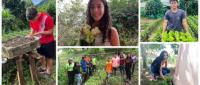 estudiantes con cultivos