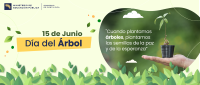 15 de junio, Día del Árbol