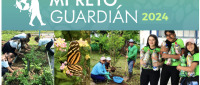 Estudiantes serán reconocidos por poner en práctica la Inteligencia de la Naturaleza a través de 10 “eco-retos”