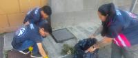 Estudiantes, docentes, padres y comunidad se unieron para embellecer el Liceo de Costa Rica 