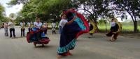 Festival de la Guanacastequidad 2026