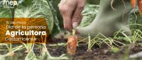 Se ilustra una persona cosechando una zanahoria en campos de cultivo.