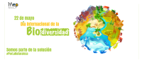 Se ilustra un planeta donde representa la biodiversidad terrestre y marítima