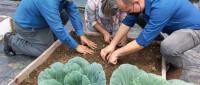 Escuela en Desamparados es considerada un paraíso ecológico