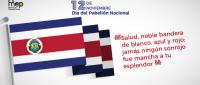 Afiche digital de la efeméride del 12 de noviembre Día del Pabellón Nacional