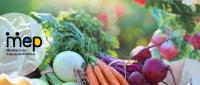 Se observan diferentes vegetales y verduras.