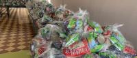 paquetes de alimentos