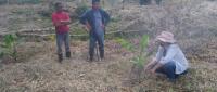 Personas trabajan el campo