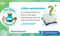 Reto #49 Libro misterioso si pudieras enterrar un libro en una cajita hermética...