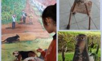 collage de perros 