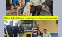 collage de perros 