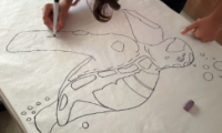 estudiante dibujando una tortuga