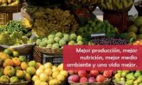 Mejor producción, mejor nutrición, mejor medio ambiente y una vida mejor.