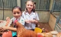 Niñas sonriendo con cartón de huevos y gallinas