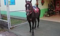 Moka