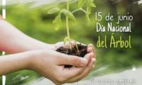 El verdadero significado de la vida es el de plantar árboles bajo cuya sombra no esperas sentarte. Nelson Henderson