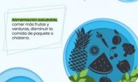 Alimentación saludables, comer más frutas y verduras, disminuir la comida de paquete o chatarra 