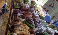 En el marco de la conmemoración del Día de la Persona Aborigen Costarricense, se realiza el Festival Cultural Indígena 2024 en el territorio de Ujarrás, de la Dirección Regional de Grande de Térraba.
