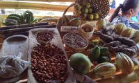 En el marco de la conmemoración del Día de la Persona Aborigen Costarricense, se realiza el Festival Cultural Indígena 2024 en el territorio de Ujarrás, de la Dirección Regional de Grande de Térraba.
