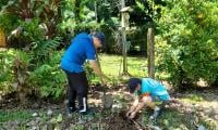 Estudiantes siembran árboles 