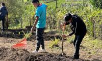 Talleres de agricultura