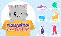 Matemática para Gatos